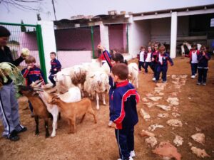 IMG-20160505-WA0027-comp